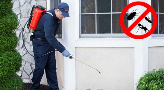 Diyadin Bit İlaçlama böcek ilaçlama ve haşere kontrolü — ilaclama-tr.com